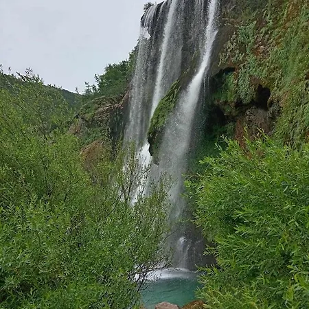 Ostanak kod kuće Owl Nest, *